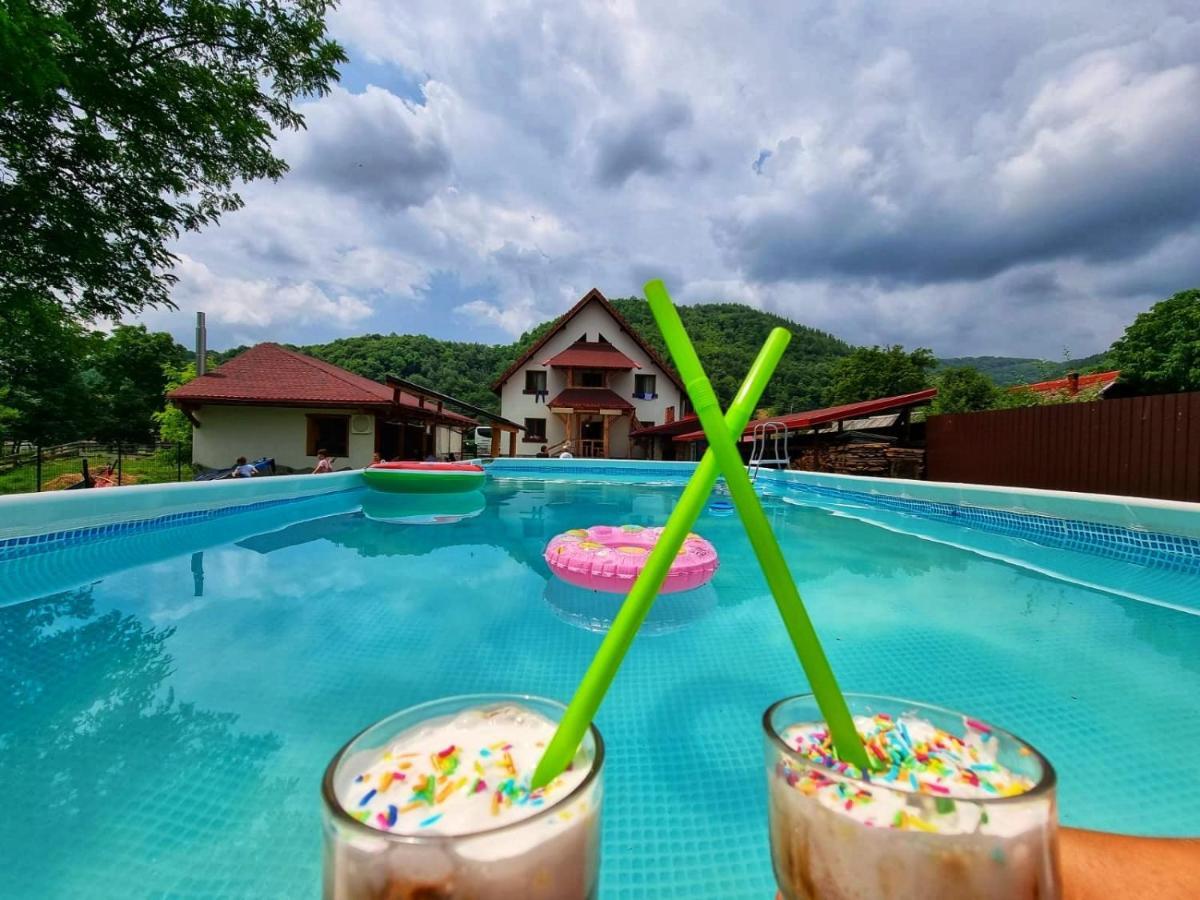Conacul De Sub Munte Villa Novaci-Straini Bagian luar foto