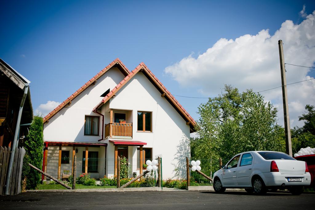 Conacul De Sub Munte Villa Novaci-Straini Bagian luar foto