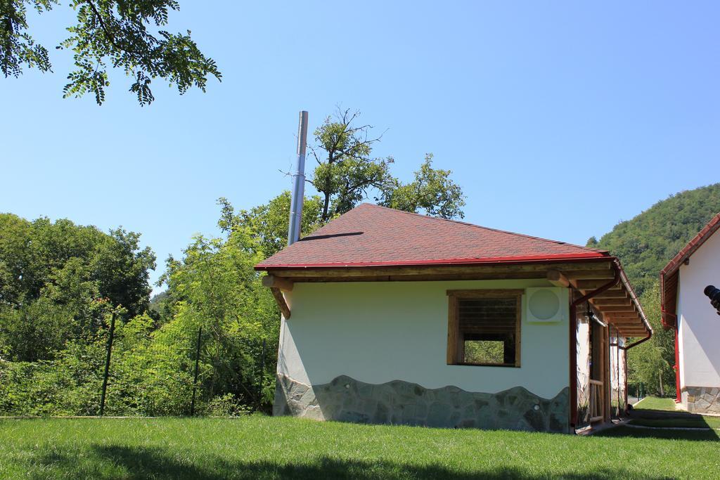 Conacul De Sub Munte Villa Novaci-Straini Bagian luar foto