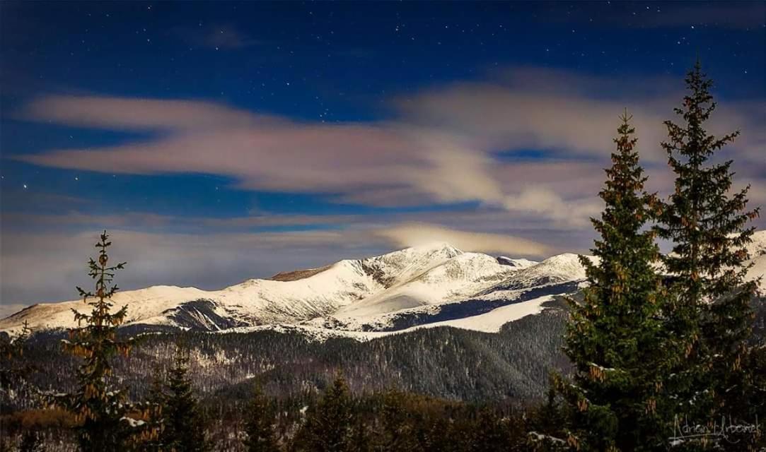 Conacul De Sub Munte Villa Novaci-Straini Bagian luar foto