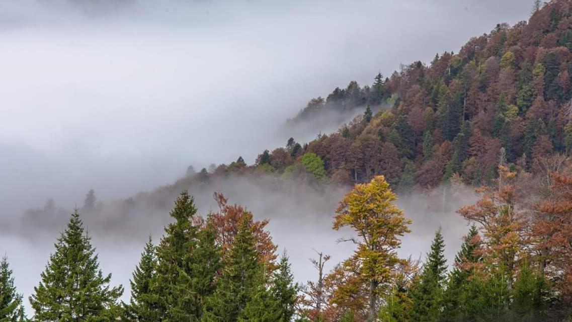 Conacul De Sub Munte Villa Novaci-Straini Bagian luar foto