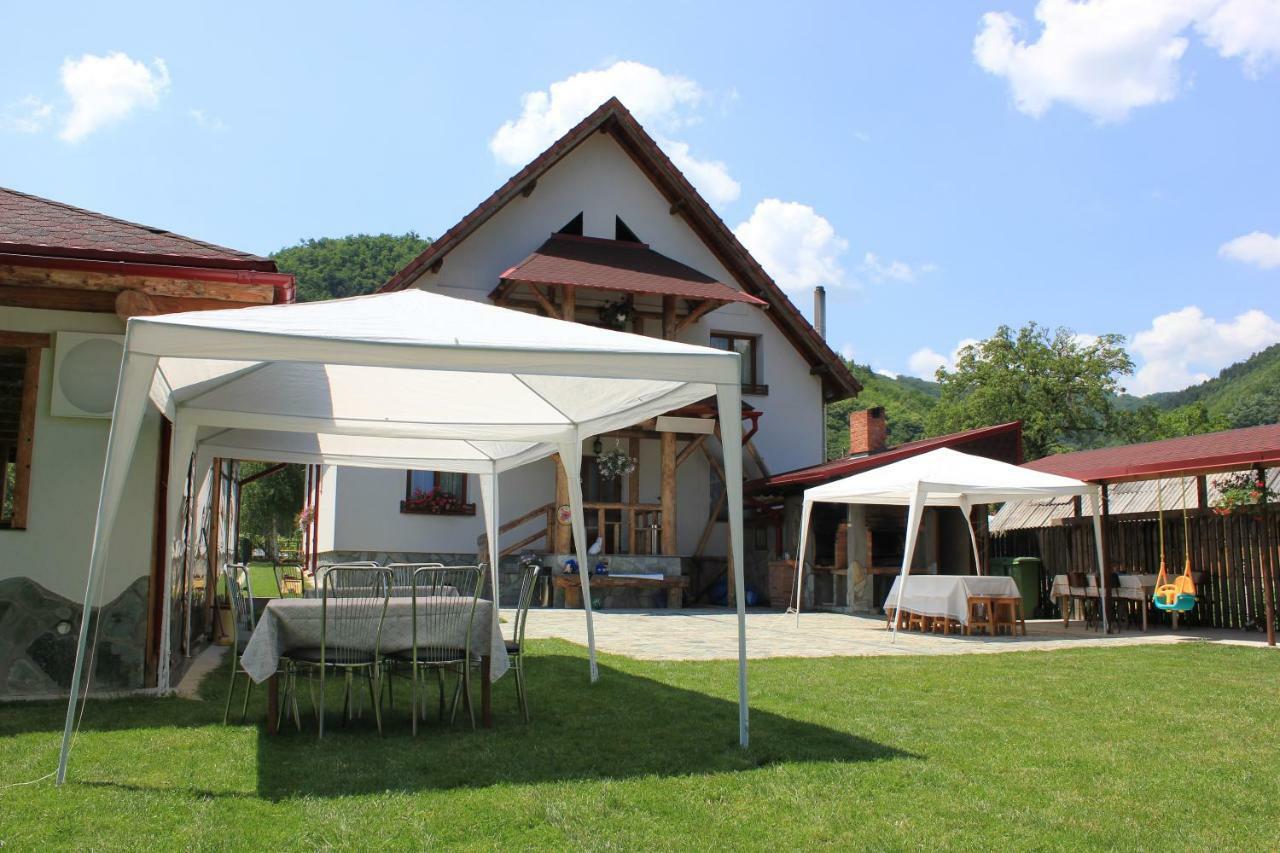 Conacul De Sub Munte Villa Novaci-Straini Bagian luar foto