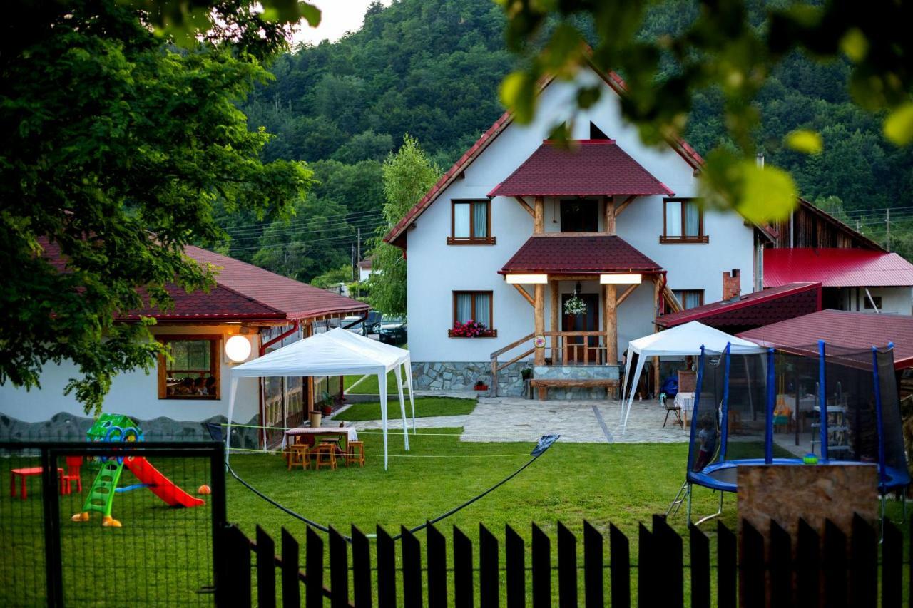 Conacul De Sub Munte Villa Novaci-Straini Bagian luar foto