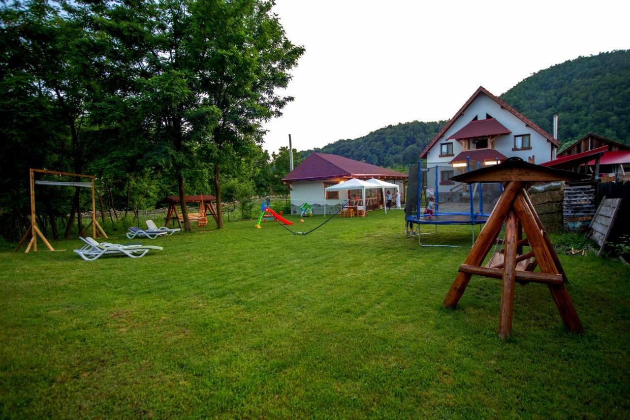 Conacul De Sub Munte Villa Novaci-Straini Bagian luar foto